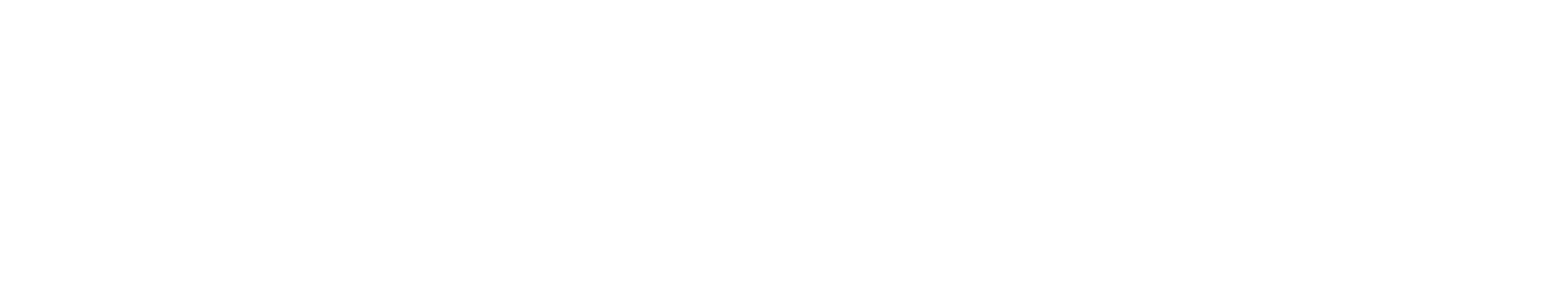 Logo-meesterbouwer-wit