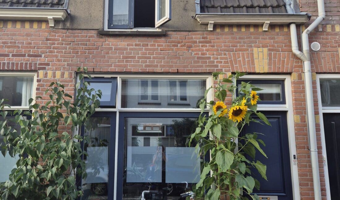 dakopbouw utrecht verbouwen woning
